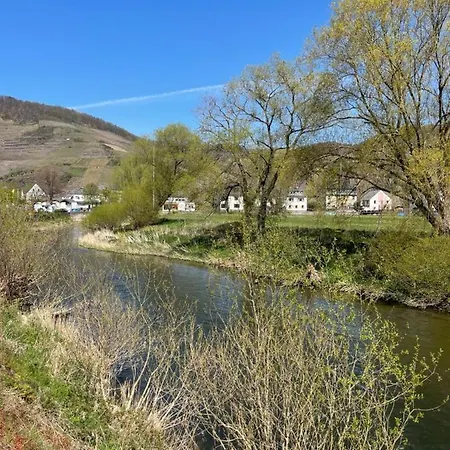 Appartement Relaxen Im Backes Fewo Eg Mayschoß